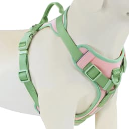 New Chocolate Color Luxury Dog Harness No Pull for Large Small Dogs Adjustable Chest Strap Dog Harness Personalized