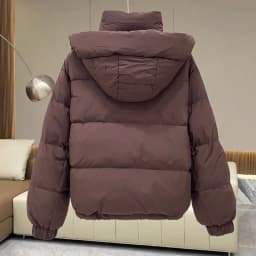 Autumn Winter New Down Cotton Jacket Women's Korean Cotton-Padded Thicken Warm Hooded Parkas Short Coat Female Casual Ladies Top