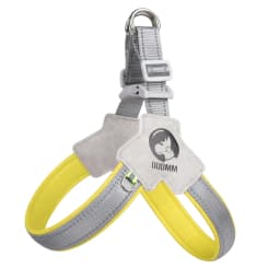 Dog Harness Chest Strap Four Seasons Breathable Mesh Walking Dog Saddle Dog Collar Soft Night Reflective Bulldog Pet Supplies