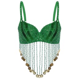 Womens Tassels Belly Dance Costume Shiny Beaded Underwired Bra Sequins Music Festival Party Tops Rave Party Halloween Costumes