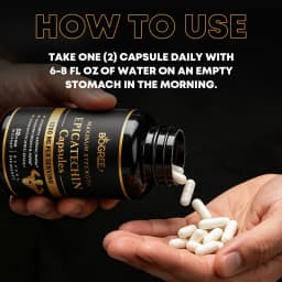 Epicatechin Capsules - Protein Synthesis, Athletic Ability, Strength, and Lean Muscle Support - Carnosine Inhibitors Supplements