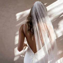 Spaghetti Straps Satin Mermaid Wedding Dress Deep V Neck Open Back Bridal Gown Pearl Veil Long Train Simple Civil Bride Dress