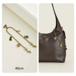Bag Chain Suitable For Coach Brooklyn 28 Bag Extension Chain Bags Underarm Decorative Diy Chain Bag Accessories