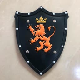 Game Sky Shield 1:1 Skyward Link Shield Weapon Halloween Cosplay Gift Role Play Gift PU Rubber Toys Prop