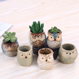 Flower Pots Creative Ceramic Mini Flowerpot Succulent Planter Cute Owl Plants Flower   Pot With Hole Garden Home Office Decor