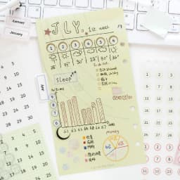 Journal GO 30pcs Mixed Material Date Planner Stickers PET & Washi Paper Index Sticker for Scrapbooking Colorful Number Month