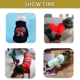Customized Pet Hooded Sweatshirt Cats & Dogs Winter Warm Clothes Large-Sized Dog Clothing Teddy Golden Retriever All Cats