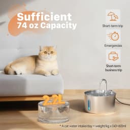 ZYFeeder 2.2L Automatic Cat Water Fountain Square Stainless Steel Bowl Pet Water Feeder Dog Water Fountain Silent(No 5V 1A Plug)