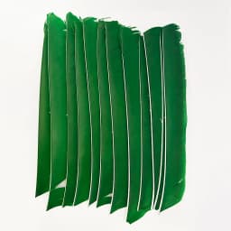 100PCS 18-25CM Full Length Turkey Arrow Feathers DIY Hunting Bow Arrow Accessories Archery Fletching Right Wing Vanes