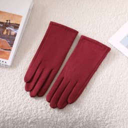 Simple Solid Style Fashion Elegant Women's Winter Suede Gloves Winter Keep Warm Touch Screen Add Velvet Thickened Elasticity Sof