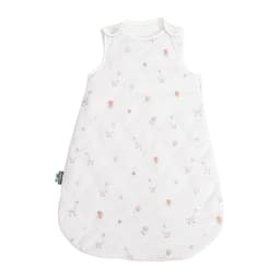 Sleeping Bag For Baby 0-24 Months Spring Autumn Sleeveless Wearable Anti-Kick Blanket Cartoon Printed Baby Sleepsacks 2.5Tog