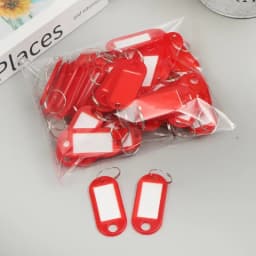 100x Coloured Plastic Key Fobs Luggage ID Tags Labels Key rings with Name Cards, For Many Uses - Bunches Of Keys, Luggage