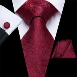 Hi-Tie White Red Striped Paisley Solid Wedding Tie For Men Design Mens Necktie Hanky Cufflink Business Party Dropshipping