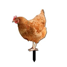 Chicken Decor Acrylic Hen Statue Poultry Ornament Ground Plug Lifelike Rooster Stakes Sign For Garden Lawn Yard Patio Decor
