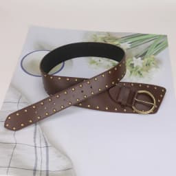 Ladies' rivet Pin buckle bronze Stud Buckle external belts For Women girdle Decorate waist Corset Pung Cowgirl On Dress Coat