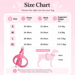 Eye Shape Dog Harness and Leash Set for Small Dogs,Cute Fashion Puppy Walking Vest, Reflective Adjustable Pet Harness for Daily