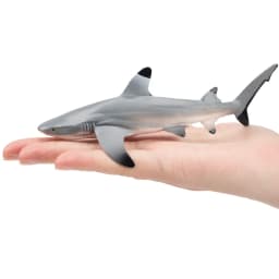 Toymany Simulation Blacktip Reef Shark Ocean Animal Model Toy Mini Figures Dolls Action Figurines Toys for Children Gift