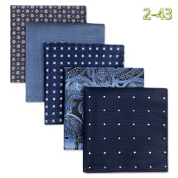 5 PCS Mens Pocket Square Set Assorted Handkerchief Multi Styles Paisley Floral Suit Large 32cm Hanky Business Accessories