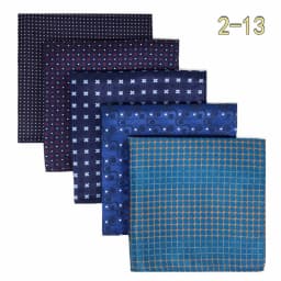 5 Pack Mens Suit Pocket Square Handkerchief Set Various Hanky Lot Classic Gentlemen Wedding Gift Accessories Large Dropshipping