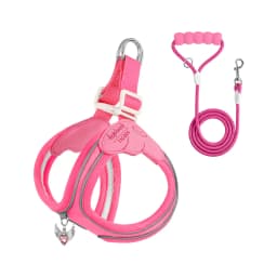 Eye Shape Dog Harness and Leash Set for Small Dogs,Cute Fashion Puppy Walking Vest, Reflective Adjustable Pet Harness for Daily