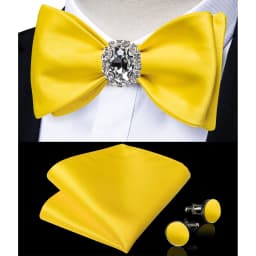 Classic White Selr-tie Bowtie with Ring Pocket Square Cufflinks Set Fashion Solid Men's Bow Tie for Wedding Groom Business Knots