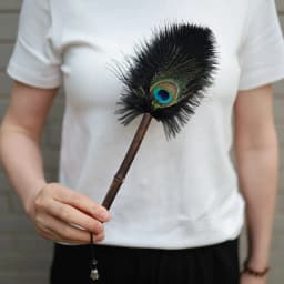 Portable Peacock Ostrich Feathers Duster Brush Handle Anti-static Cleaning Tools Household Dust Sweeping Brushs Multi-function