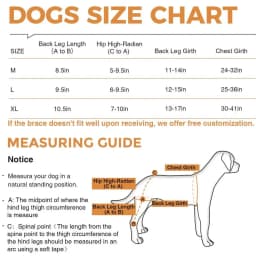 Knee Brace For Dogs Back Leg Adjustable Dogs Rear Leg Wrap Dogs Back Leg Wrap Canine Care CCL Support Brace For Medium And Large