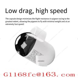 Real Time Global System Locator for Pigeon Outdoor Flight Leg Straps and Circular Positioning
