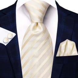 Hi-Tie Champagne Gold Striped Paisley Solid Men Silk Wedding Tie Fashion Design Necktie For Men Hanky Cufflink Business Party