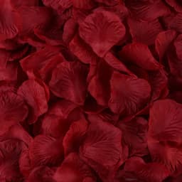 500/1000 Pieces Silk Artificial Rose Petals Artificial Flowers Fake Petal for Valentine Day Wedding Party Decoration DIY Flowers