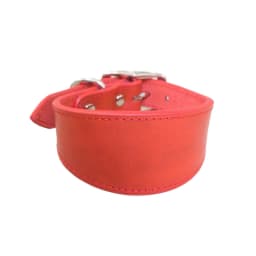 Leathers Dogs Collar Soft Padded Collar for Whippets Salukis Sighthounds Dogs Adjustable Collar Large Breeds Dogs Supply