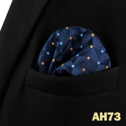 Pocket Square Handkerchief for Men Polka Dot Dots Plaid Check Checkered Suit Pocket Towel Hanky Mens Gift Wedding Business Party