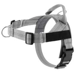 Personalized Reflective No Pull Harness for Small Medium Dog Washable Explosion-proof Comfort Dog Harnesses Pechera Para Perro