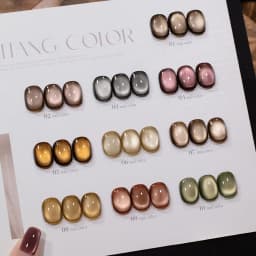 10ML 1-10PCS Winter New Style Hot Selling Black Nails Brown Nails Glass Bead Magnet Cat Eye Nail Polish Nail Set Nail Supplies