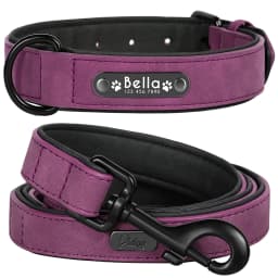 Personalized Dog Collar Leash Set Custom Leather Dog ID Collar Leash Lead For Small Medium Large Dogs Pitbull Bulldog Pugs