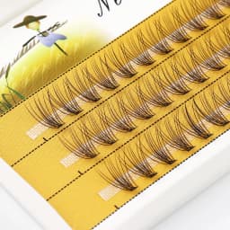 40/30/20D Cluster Eyelash Extension 1 Box/60 Bundle Natural Thick Mink Lashes Russian Individual Eyelash Bunches Wholesale Cilia