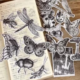 16pcs Black And White Retro Insect Dragonfly Butterfly Mushroom Ledger Sticker Diary Photo Album Mobile Phone Case Decoration