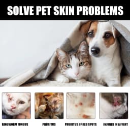 Cat Ringworm Spray - Mite Removal & Anti-Itch Pet Skin Care Topical Spray for Cats, Fungal Infection Relief, Itch Soothing