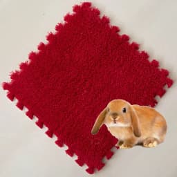 4/10Pcs Rabbit Guinea Pig Cage Liner Small Pet Items Waterproof Anti Slip Bedding Mat Highly Absorbent Pee Pad For Pet SleepMat