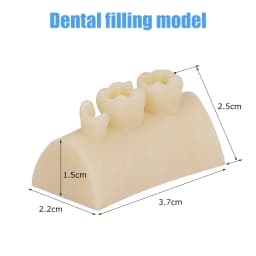 Dental Inlay Exercise Model Block Composite Resin Filling Practice Models Dentistry Oral Teeth Teaching Typodont Study