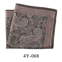 Tailor Smith Mens Hanky Pocket Squared Handkerchief Polyester Paisley Floral Handkerchief Square Scarf Wedding Party For Gift