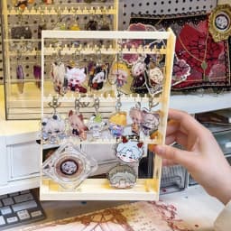 Earring Key Holder Storage Rack Slide out Pendant Jewelry Display Box Bracelet Hook Anti-Tangle Ring Stand Nordic Style Plastic