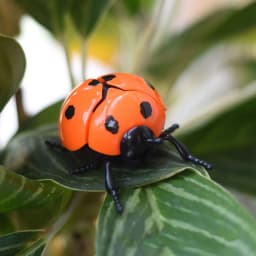 Wind Up Ladybird Bionic Toys Creative Prankster Animated Insect Toy Model Children's Plastic Animals Scarab Beetle Wind Up Toy