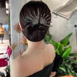 Elegant Peacock Shape Hair Bun Maker Twist Headwear Roll Hair Tool Hair Twister Easy Fast Snap Hairstyle Twist Women