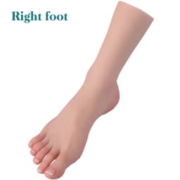 Dokier Realistic Silicone Material Female Hands Model Lifelike Silicone Female Hand Foot Mannequin for Hand Art Jewelry Display