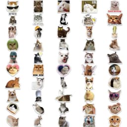 100/1000pcs Funny Cute Cat MEME Animals Stickers Kawaii Decals Scrapbooking Notebook Luggage Laptop Skateboard Sticker Toy