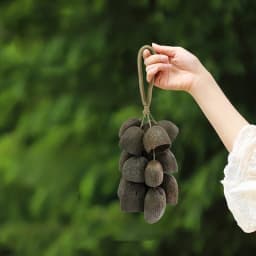 Natural Fruit Shell Hand Bell Sound Healing Outdoor Wind Chimes Meditation Yoga Spiritual Chime Bell Percussion Instrument