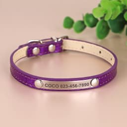 Anti-lost Cat ID Collar Personalized Puppy Cat Collars Necklace Free Engraved ID Name Tag For Kitten Cats Small Dogs Bling