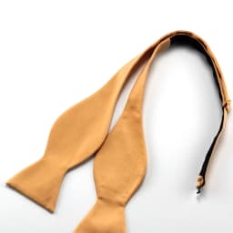 New Silk Satin Mens Bowties Self Bow Ties Adjustable Classic Men Vintage Bowtie Bowknot Gift Business Wedding Party Ties