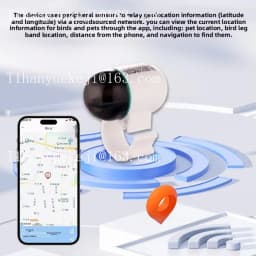 forReal-Time GPS locator for Pigeons and Loros Outdoor Flight locator Leg Bands and Ring Pigeon Piogeon Bird Positioning